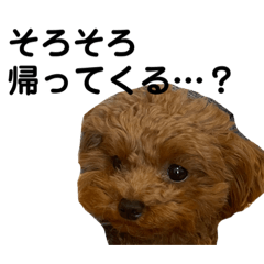 saori_20230527171921