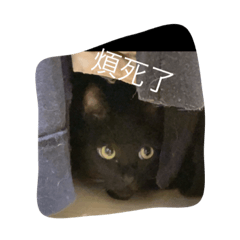 KiRo日常用語2