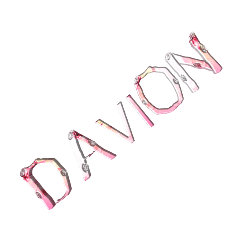 DAVION NAME 2