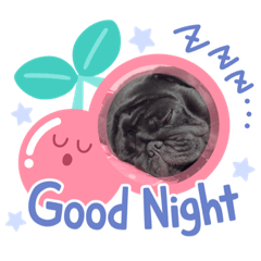 Smile_20230528001921