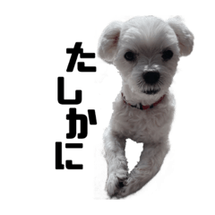 Kana_20230527200549