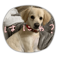 OMOCHI_20230527215541