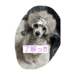 Nao_20230527212654