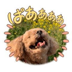 ARISA_20230527224129