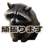 Cafe latte and raccoon honorific 2