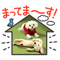 Chisa_20230527225420