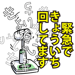きょういちリスペクト（エメラルド）