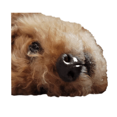 BB_20230528102017