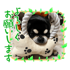 misa_20230528144441