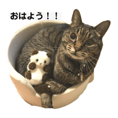 aoi_20230529084036