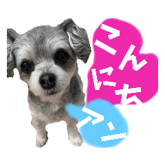 SAKURA_20230528174909