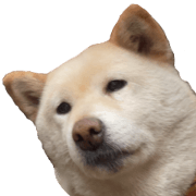Yokuyounonaiinu 1(Modified version)