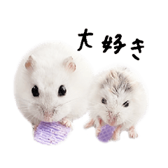 Hamster TORORO Sticker