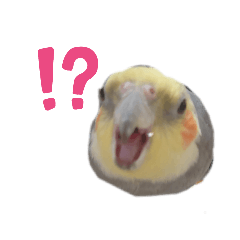 Kananori_20230529021520