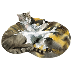 Watercolor calico cat painting set