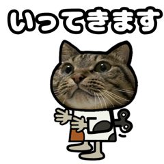 Kijitora cat moving sticker