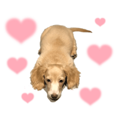 saori_20230528200551