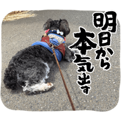 MISA_20230528213955