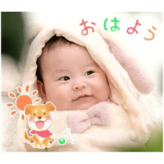 koto_20230528204156
