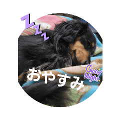 yukari_20230528224940