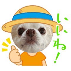 hana_20230528225012