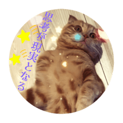 Victoria Wonder_20230528224026