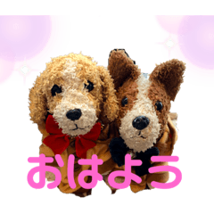 cream_20230529112333