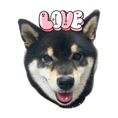 dog stamp!  ichigo