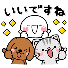 dogs＆cats×shiro