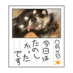 kana_20230530000006