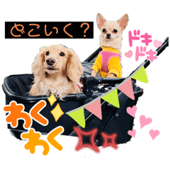 sayuri_20230530002401