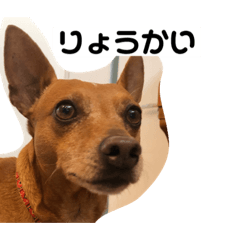 hikari_20230529160627