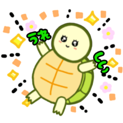 turtle. turtle