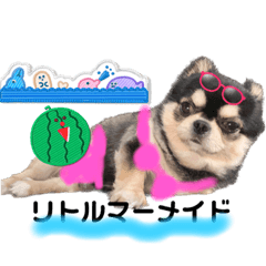 COCO POYOKON
