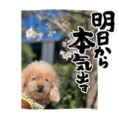 kana_20230529222317