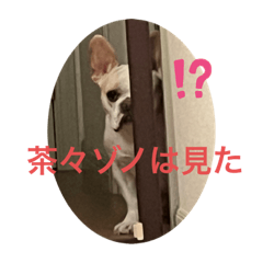 CREAM_20230530105535