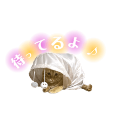Tomomi_20230529203254