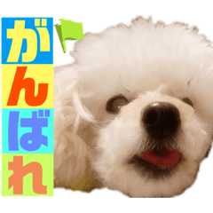 kuu_20230530114246