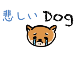 Motimotitarou_20230530105518