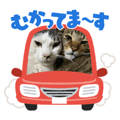 yuka_20230529231506