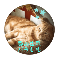 Victoria Wonder_20230530123811