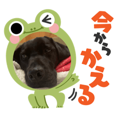 きず奈kizuna