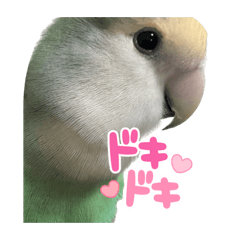 kana_20230530172646