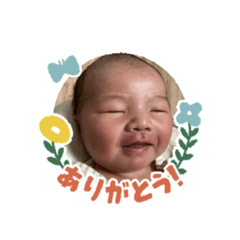 sakura_20230530160715