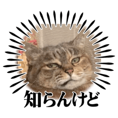 kana_20230530161445