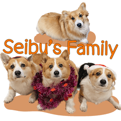 Seibu and His Family