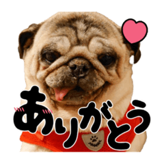 HANA_20230530163640