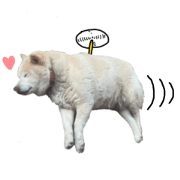 Yokuyounonaiinu 5(Modified version)