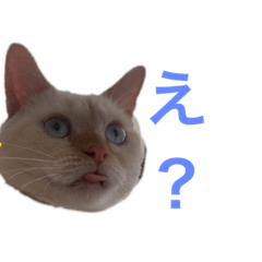 kana_20230531012558
