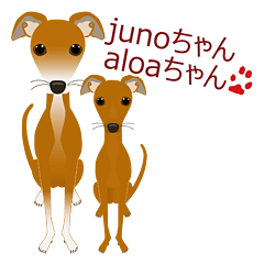 mamepin321*juno&aloa_italiagreyhound.ver